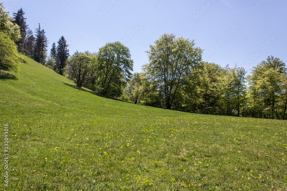 Fototapeta premium Hohenzollern Castle, Germany