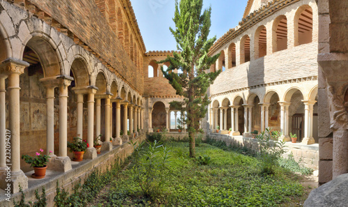 The cloister with romanesque arches, a fir tree and medieval frescos during a sunny day in the Colegiata de Santa Maria la Mayor of Alquezar, Spain