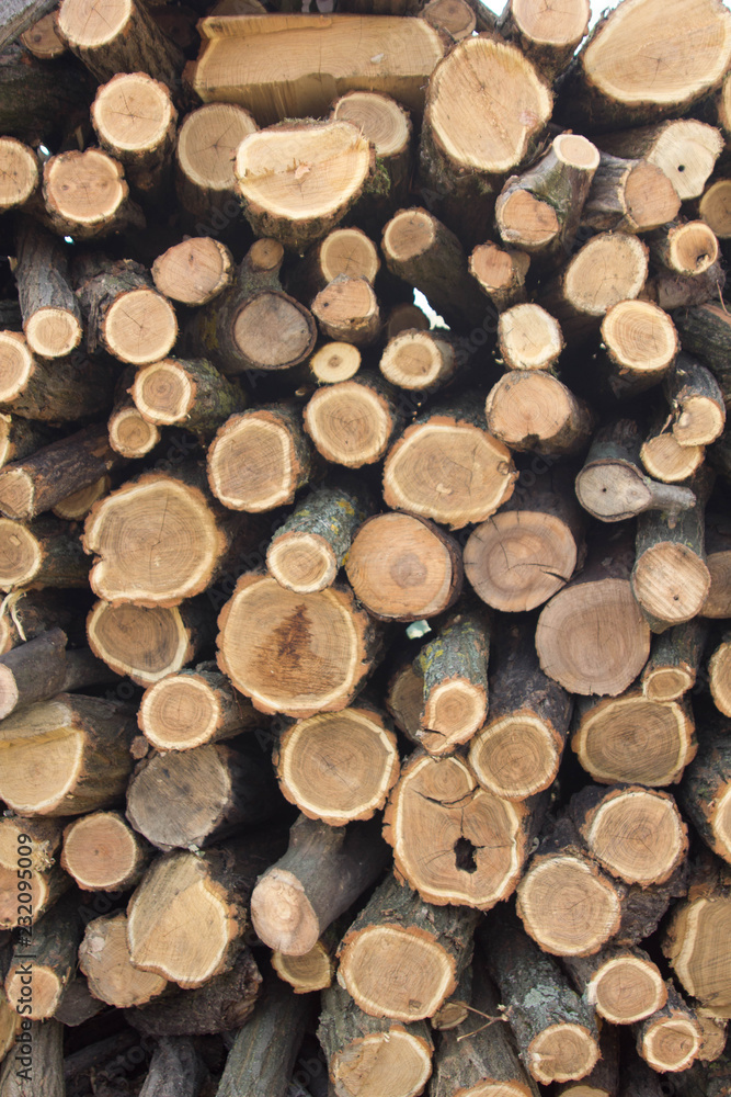 pile of wood pile of wood