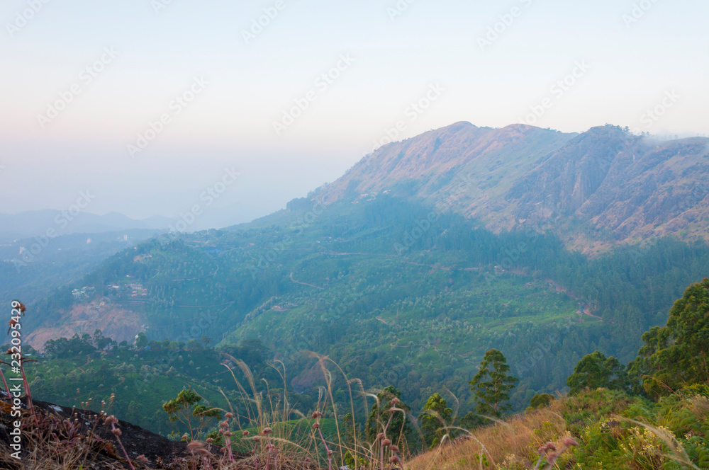 Obraz premium Sunrise above Munnar mountains