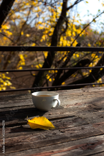cup of tea on balcony with nature view. Cup of autumn tea.