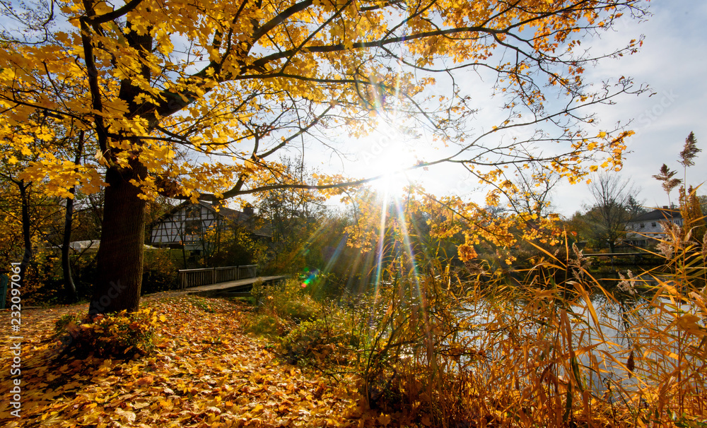 Indian Summer, Schönheit des Herbstes am See, Spätsommer, Indian Summer, wundervolle Farben im Wald, weiches, stimmungsvolles Licht :)