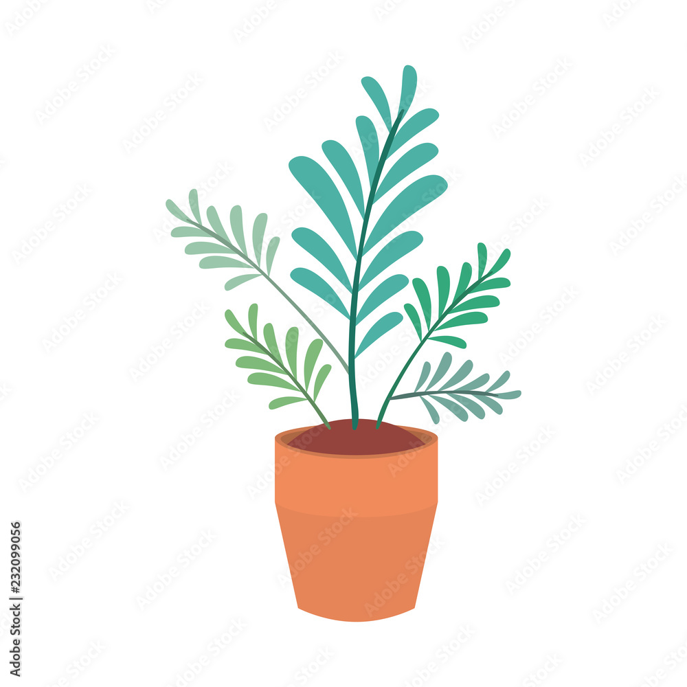 Obraz premium house plant pot isolated icon