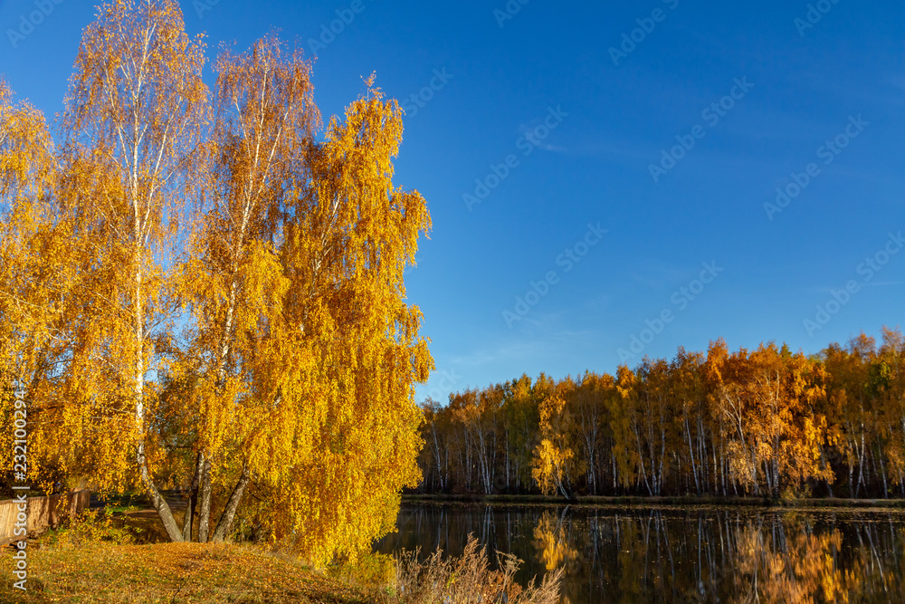 autumn landscape with trees and the river autumn landscape with trees and the river