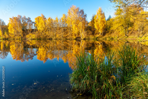 autumn landscape with river and trees