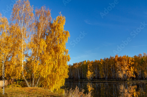 autumn landscape with trees and the river © Vlad Rakin