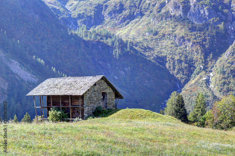 A stone hut in the Walser town of Follu, among high mountains, pine forests and green pastures, in summer, in Val d'Otro valley, Alps mountains, Italy