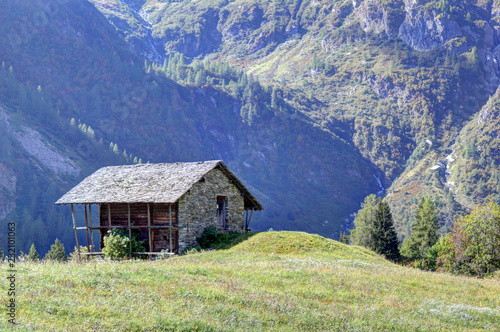 A stone hut in the Walser town of Follu, among high mountains, pine forests and green pastures, in summer, in Val d'Otro valley, Alps mountains, Italy © Isacco