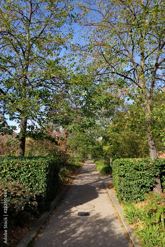 Parc de la petite ceinture,  Paris