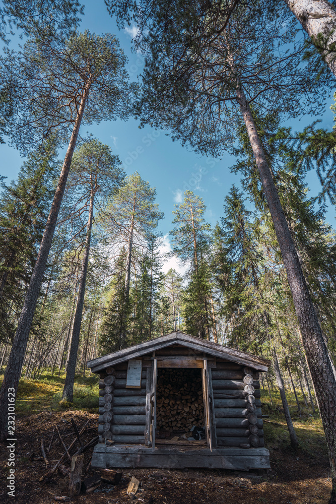 Finland, Vikakongas, Wooden barn with fire wood in forest Finland, Vikakongas, Wooden barn with fire wood in forest