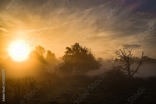 FLusslandschaft im Morgennebel © rainer K