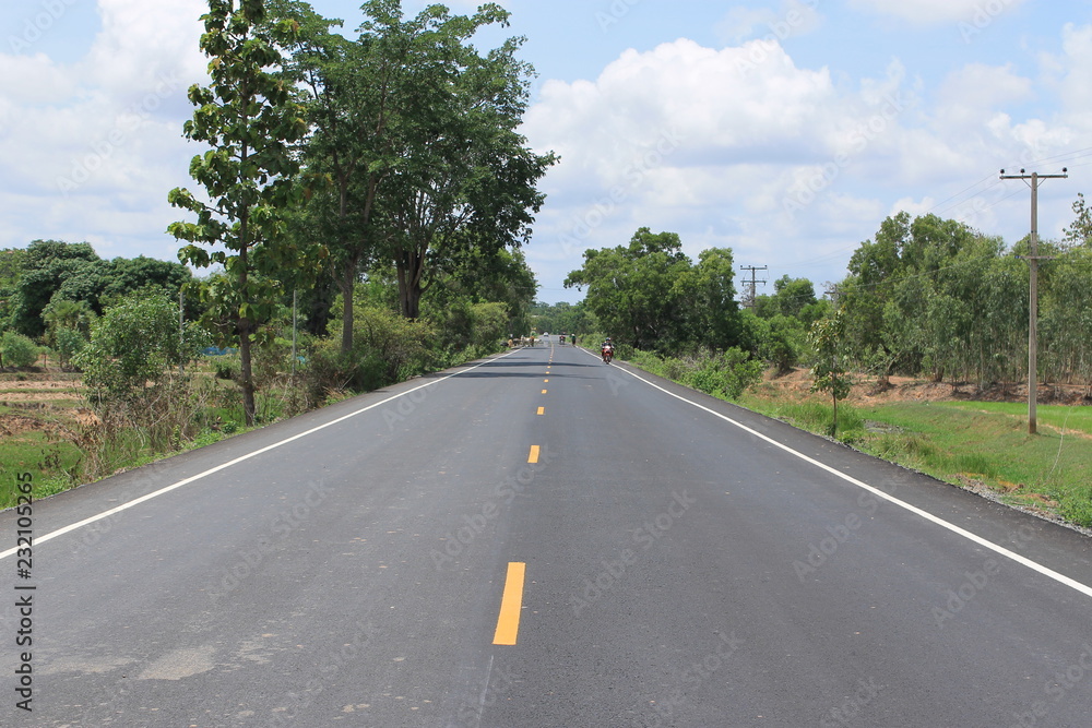 road in the forest