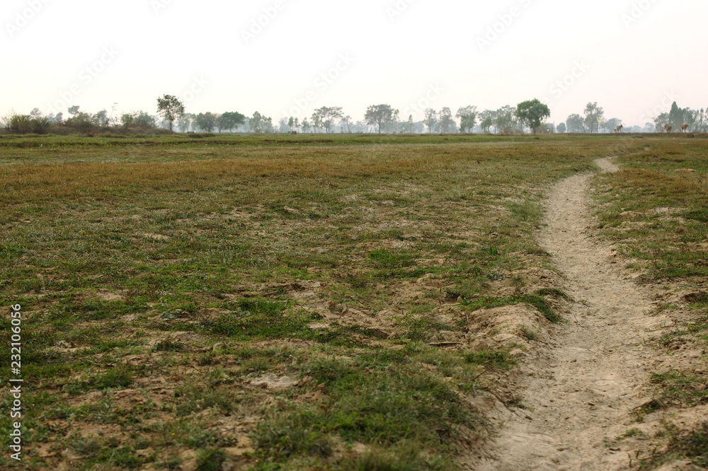 Obraz premium tractor plowing field