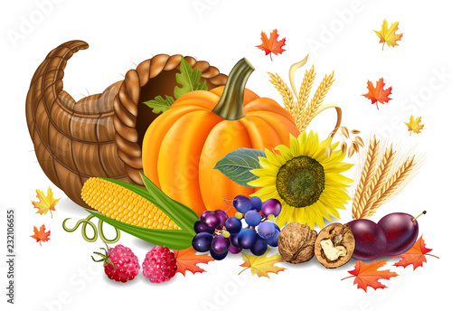 Fall harvest Vector realistic. Pumpkin, and sunflower. Autumn 3d detailed sym...