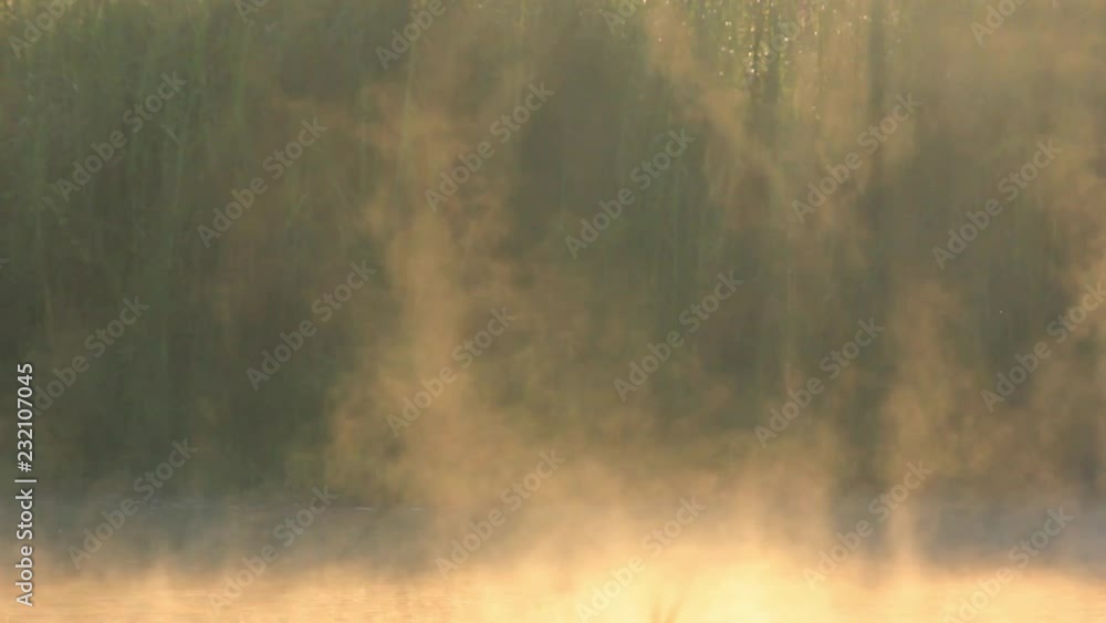 Fog over lake surface is flowing with stunning light on the background in the morning Fog over lake surface is flowing with stunning light on the background in the morning