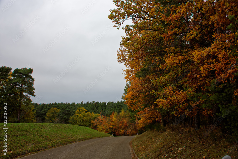 Obraz premium autumn desert road