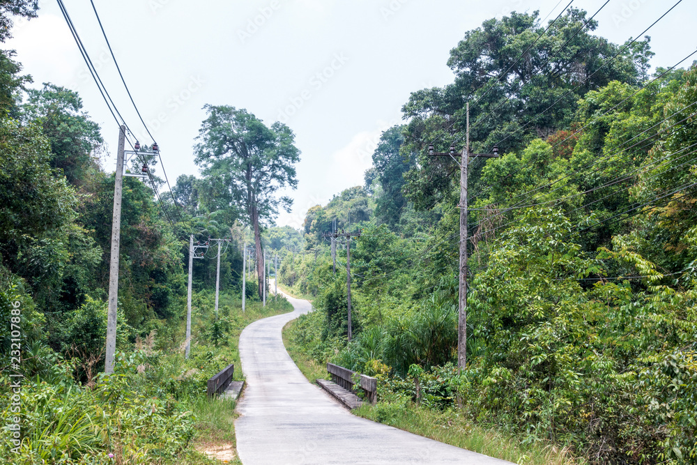 rural country road pass through green trees beside in thailnd rural country road pass through green trees beside in thailnd
