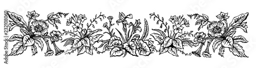 Vinatge floral Border. Hand-painted SVG, black outline/linework.