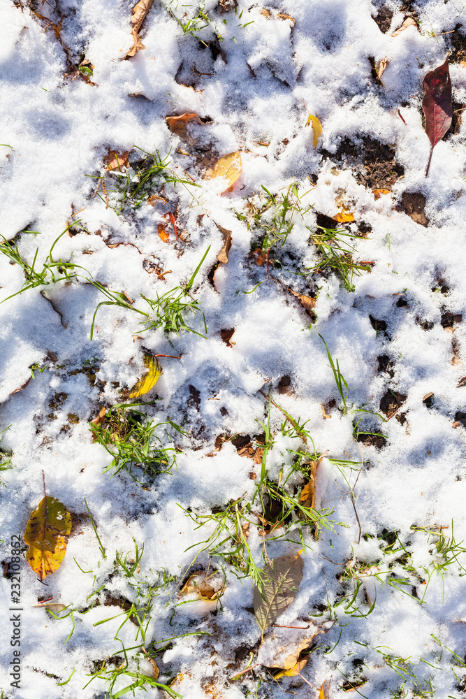above view of lawn covered with the first snow