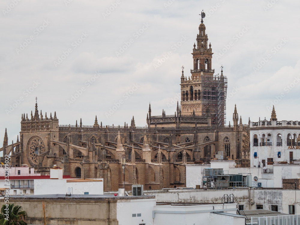 Seville skyline featuring cathedral