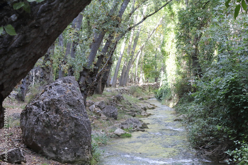 The Mesa river in its canyon, next to some rocks and a path in the Los Prados forest next to the rural small town of Jaraba, in Aragon region, Spain photo