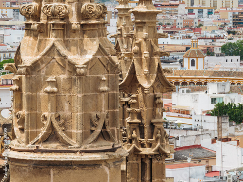 Seville cathedral facade detail and rooftops