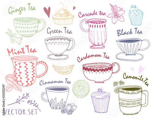 Hand drawn graphic tea cups. Various sorts of tea. Colored vector set