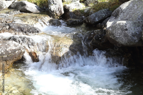 A Caldar  s river rapids during a sunny autumn in the firs and pine trees forest of the rocky mountains of Panticosa  Aragon Pyrenees  Spain