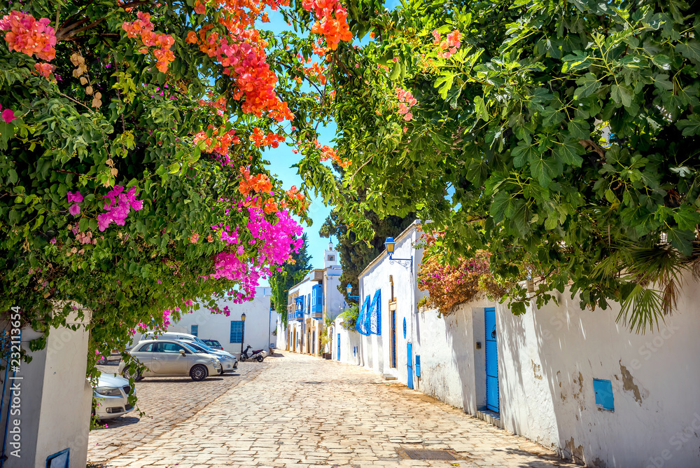  Cityscape of blue and white town Sidi Bou Said. Tunisia, North Africa