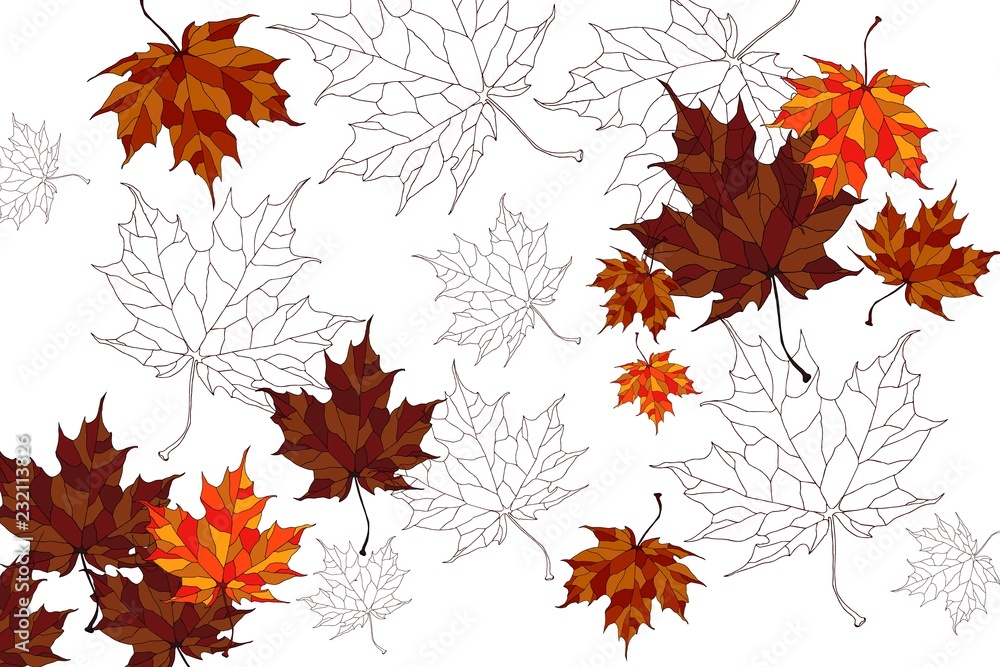 Vector background with beautiful maple leaves.