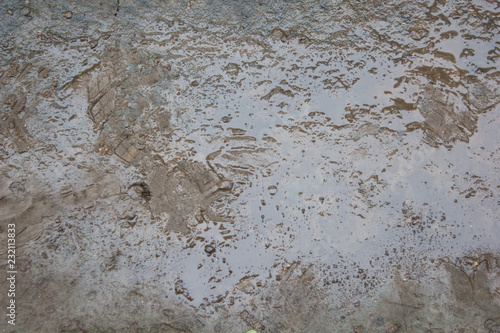 wet ground texture