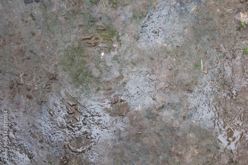wet ground texture