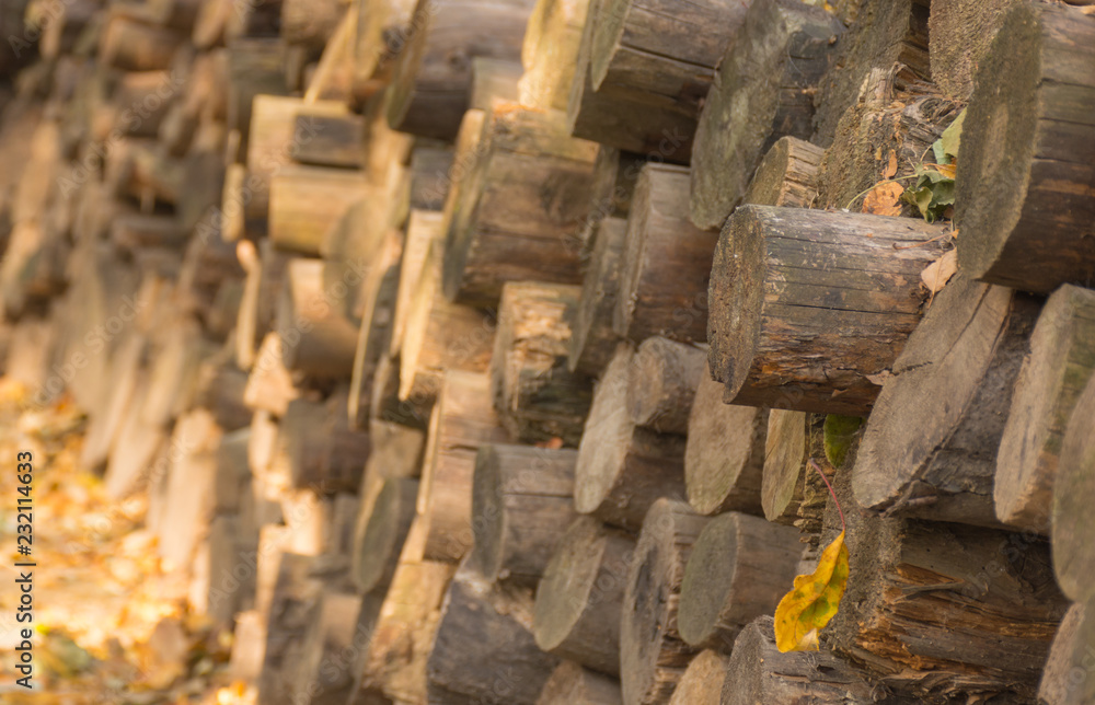 Texture - wall of chopped logs Texture - wall of chopped logs