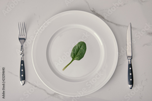 empty plate with fork and knife with spinach leaf on white marble background, health and dieting concept © LIGHTFIELD STUDIOS