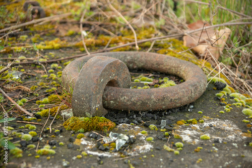 Befestigungsring an der Kaimauer