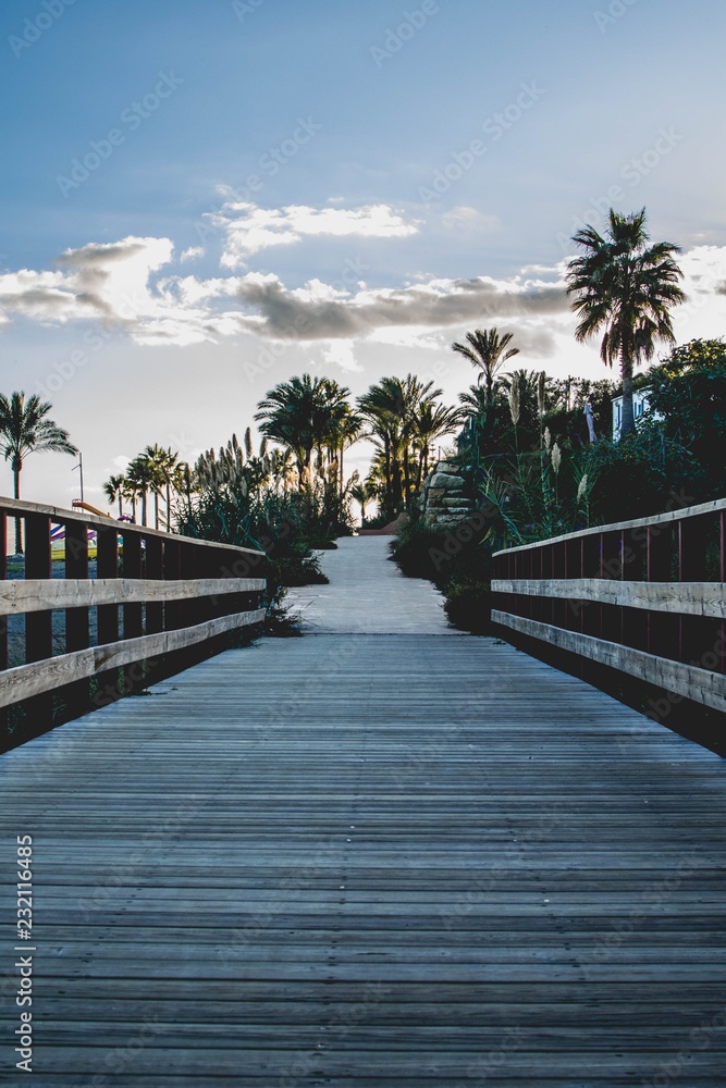 Walking through the wooden bridge between exotic scenery of palm trees at sunset