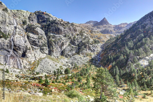 A landscape of the high rocky mountains with firs and pine trees forest and a blue sky in a sunny autumn, in Panticosa, Aragon Pyrenees, Spain