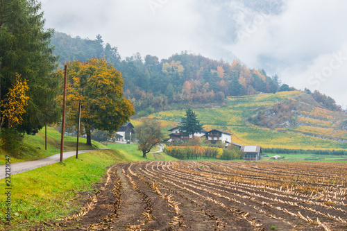 Harvested corn field in Novacella, Varna, Bolzano in South Tyrol. Picturesque autumnal mountain scenery in Northern Italy. Clouds over colourful vineyards and yellow foliage on trees on background.