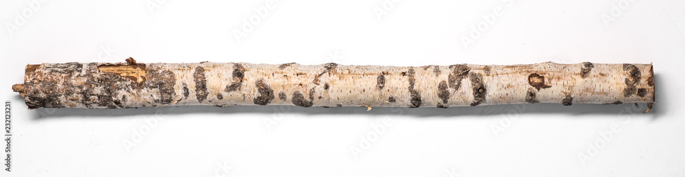 birch log on a white background - obrazy, fototapety, plakaty 