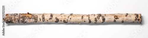 birch log on a white background photo