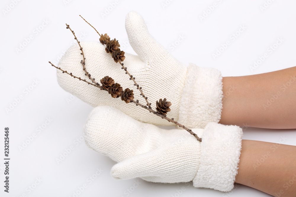 mitten on the white background mitten on the white background