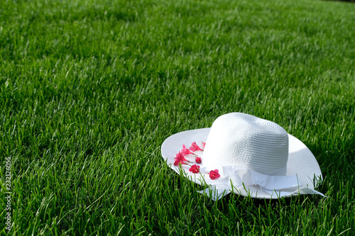 Beautiful pink Weigelie Bristol Ruby flowers and women's white summer  straw hat on green yard photo