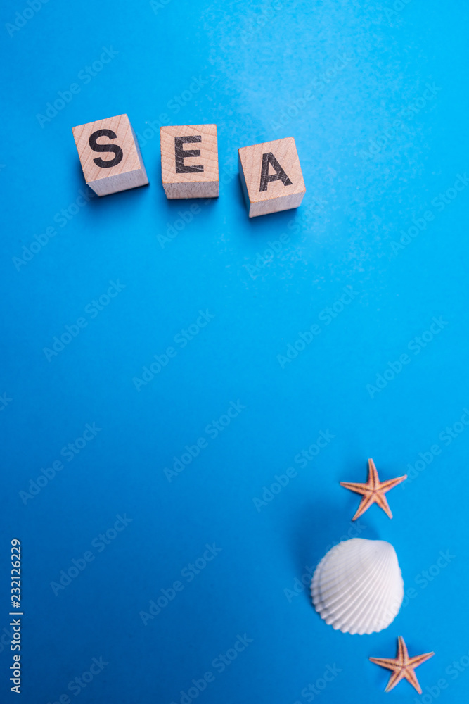 Seashell in isolated blue background and sea 