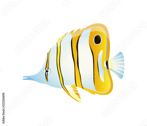 Striped Butterfly Fish with Thin Body Color Card