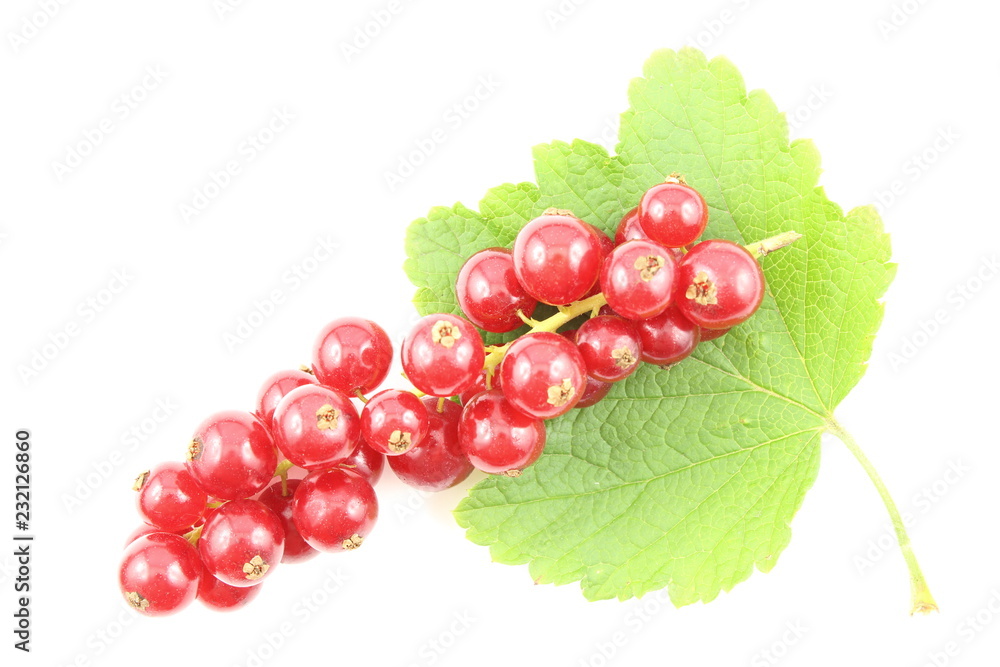 fresh red currant fruits isolated on a white background fresh red currant fruits isolated on a white background