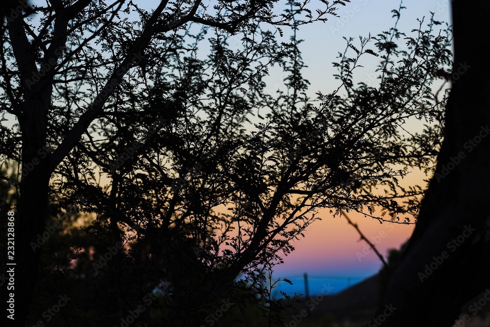 desert sunrise desert sunrise