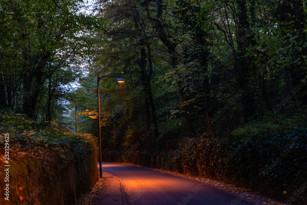 Obraz premium Descente d'une route le soir avec les lampadaires allumés en Moselle