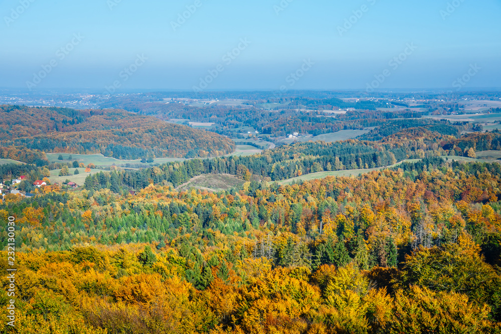 aerial view of the autumn forest, the Kashubian region, Gdansk Pomerania