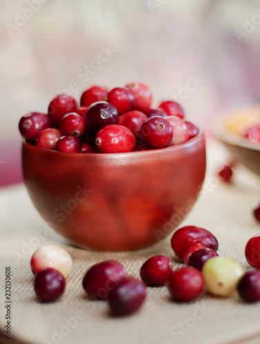 Fresh Picked Cranberries in a bowl