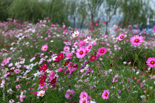 China river beach scenery